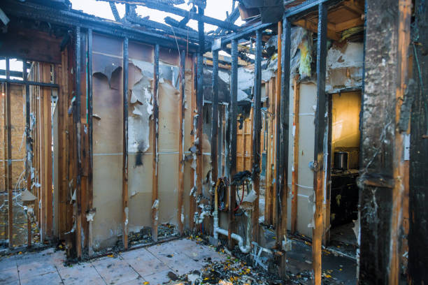 Professional Fire Damage Repair technician working in Aetna Estates, CO